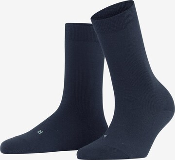 FALKE Socken 'Stabilizing Wool Everyday' in Blau: Vorderseite
