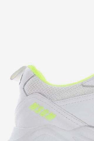 MSGM Sneakers & Trainers in 38 in White