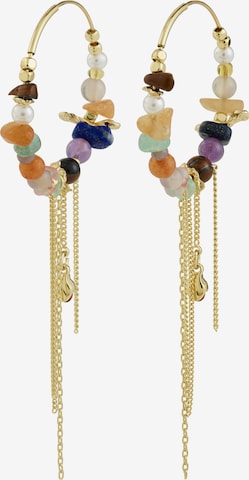 auksinė Pilgrim Auskarai 'Iris': priekis