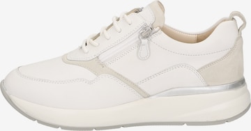 SIOUX Sneakers laag 'Segolia' in Wit