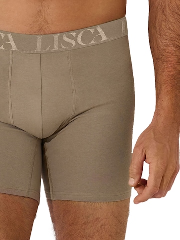 Lisca Boxer shorts 'Odysseus' in Grey