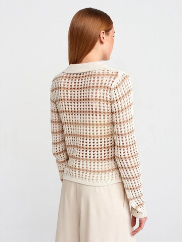 DilvinPulover 'Pullover' - miks boja boja