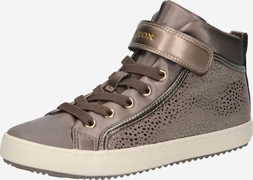 GEOX Sneakers 'Kalispera' in Bruin: voorkant