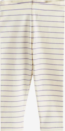 Next Tajice u bež / ljubičasta, Pregled proizvoda