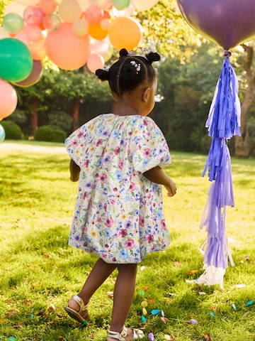Next Kleid in Pink