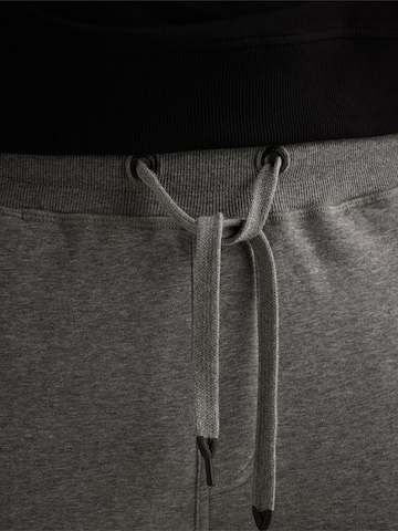 Loosefit Pantaloni sportivi 'Airstreamer cargo sweatpants' di PME Legend in grigio