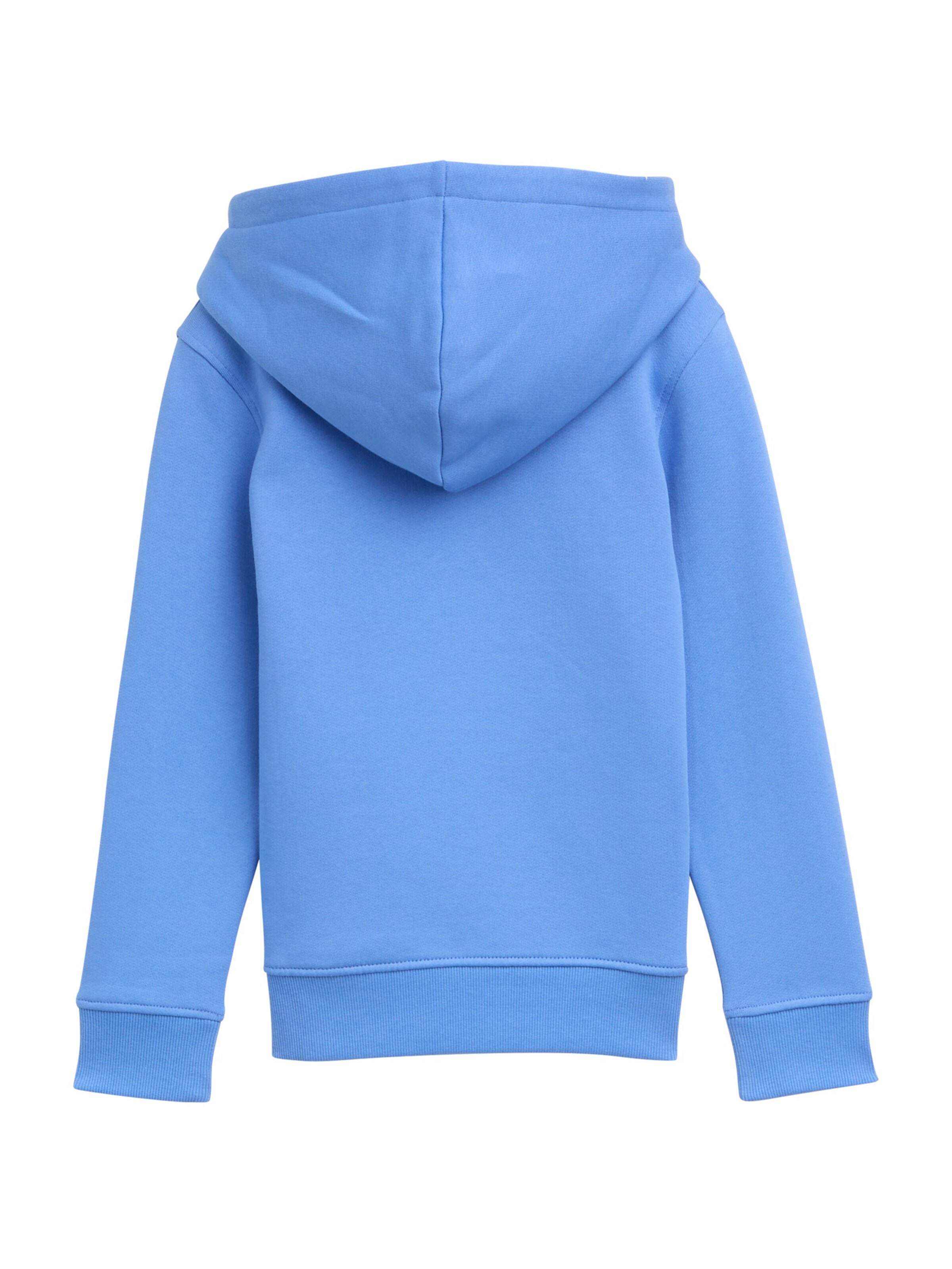 TOM TAILOR Свитшот в Синий