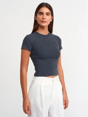 Dilvin T-Shirts in Grau: Vorderseite