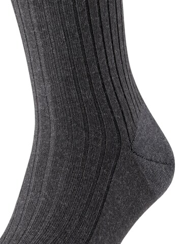 FALKE Knee High Socks 'Bristol Pure' in Grey