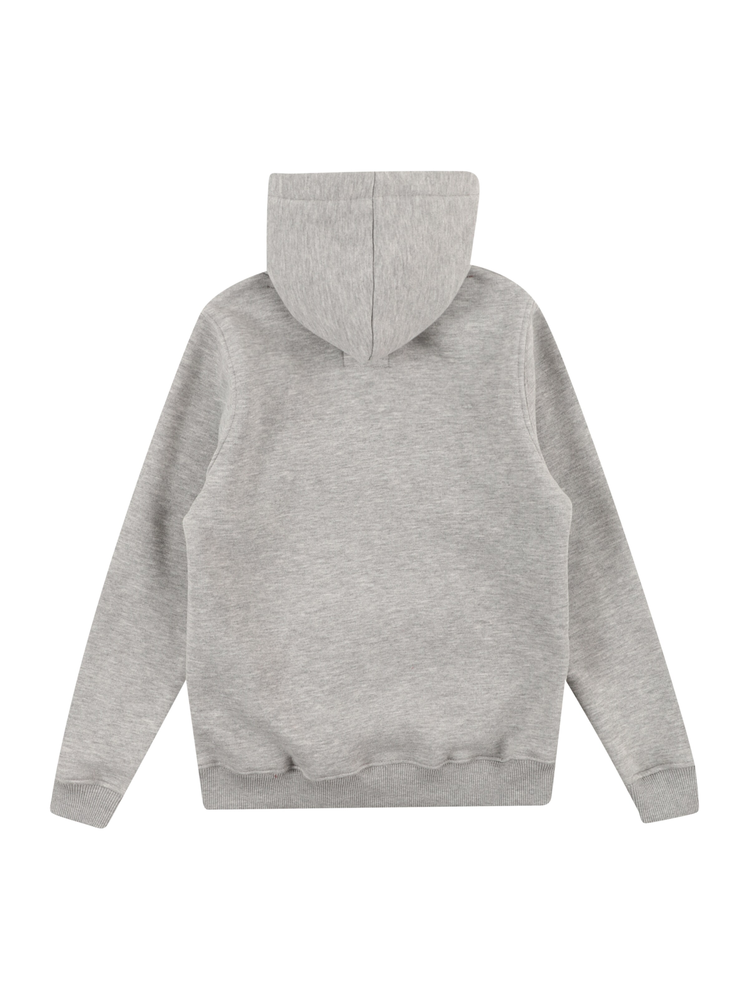 ALPHA INDUSTRIES Μπλούζα φούτερ σε γκρι