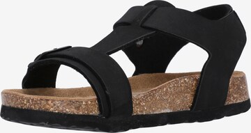 Cruz Sandals 'Diako' in Black