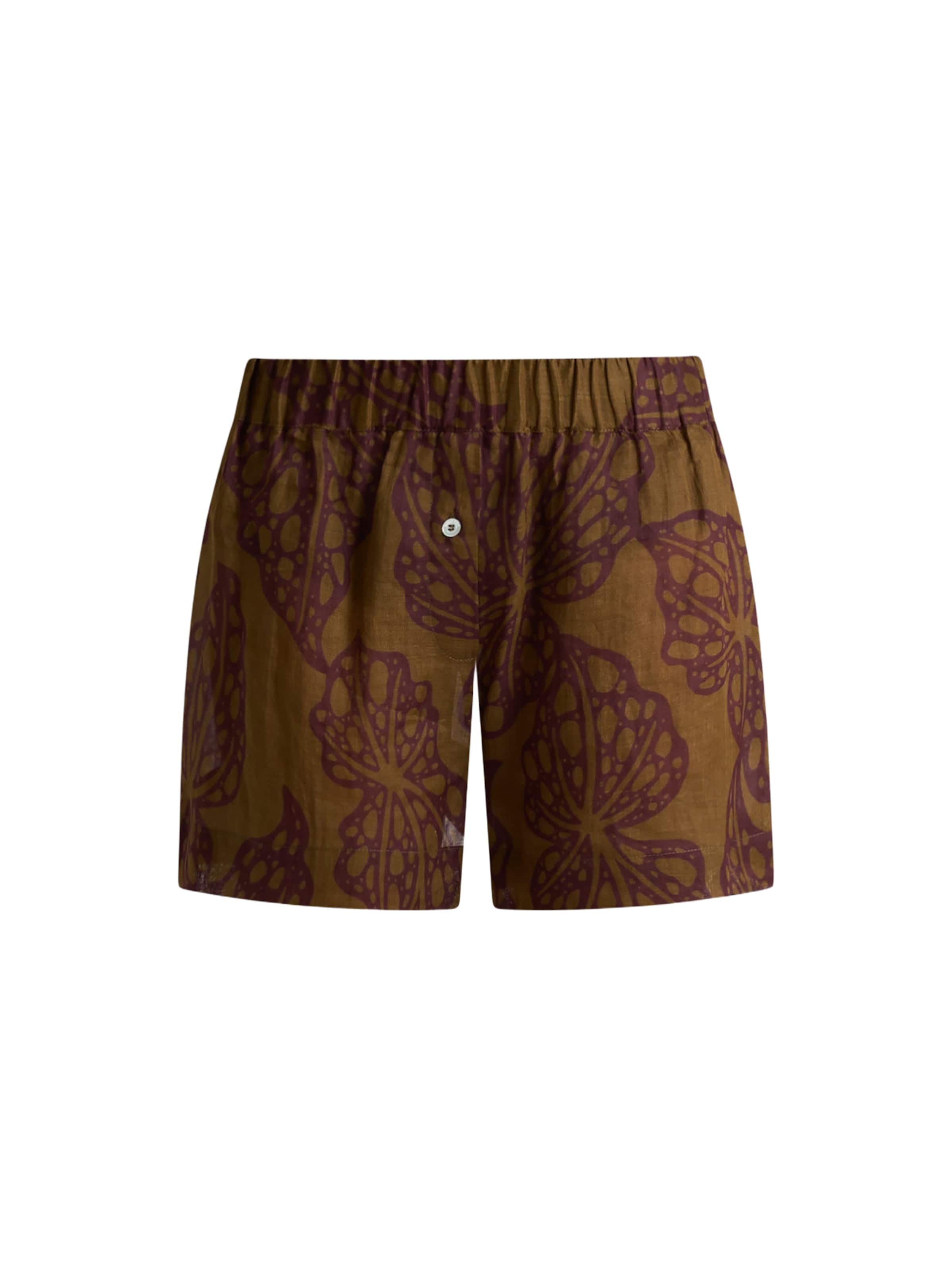 Regular Pantalon Ottod’Ame en marron : devant
