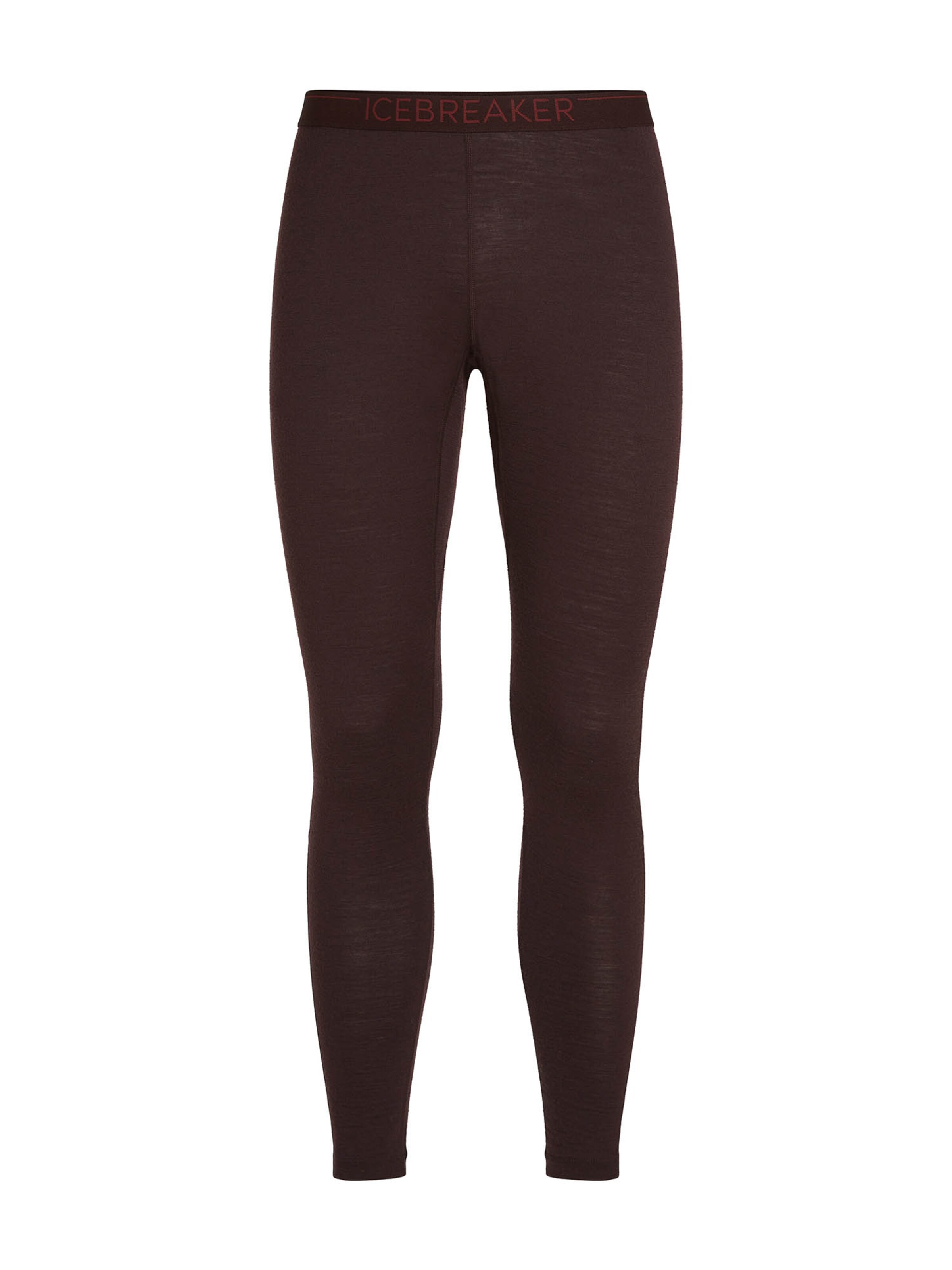 ICEBREAKER Workout Pants '200 Oasis' in Brown: front