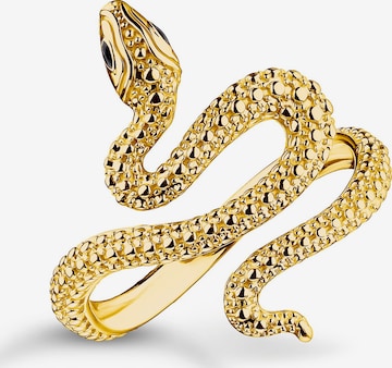 Thomas Sabo Ring in Gold: Vorderseite