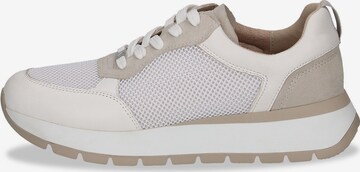 CAPRICE Sneakers laag in Beige