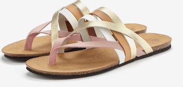 LASCANA T-bar sandals in Mixed colours