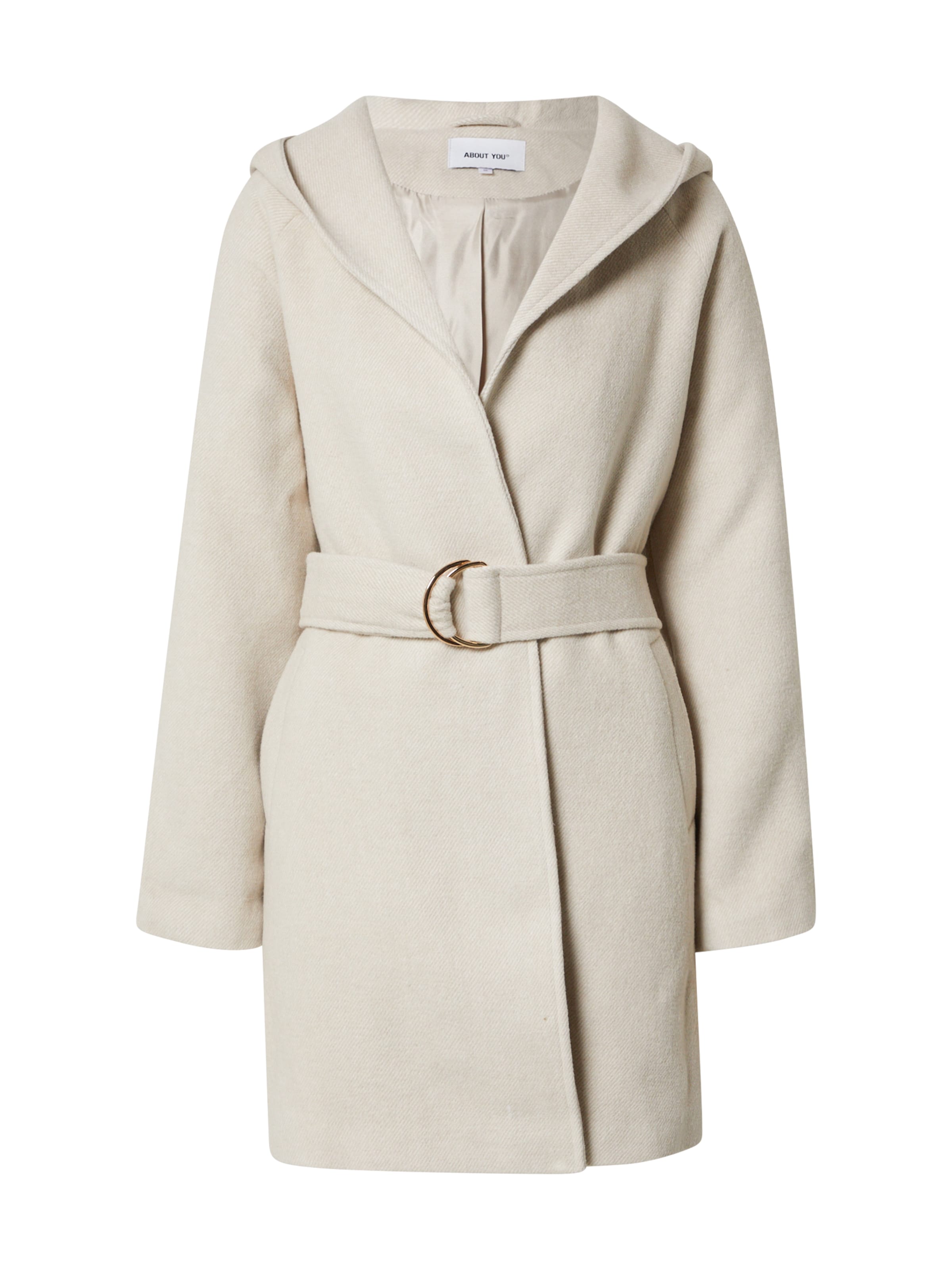 bēšs ABOUT YOU Starpsezonu mētelis 'Thea': no priekšpuses