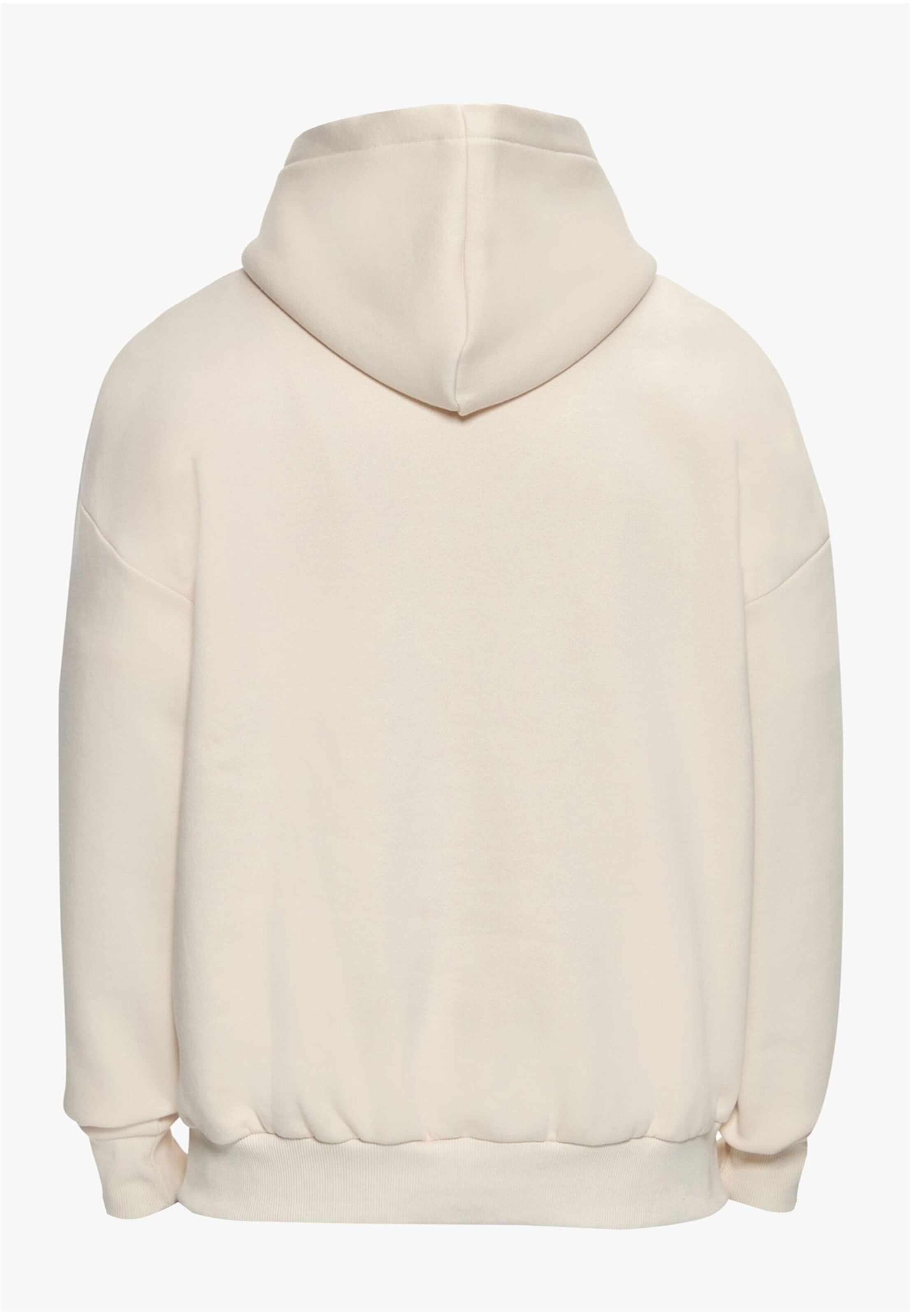 Dropsize Sweatshirt in Beige