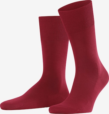 FALKE Socken 'ClimaWool' in Rot: Vorderseite