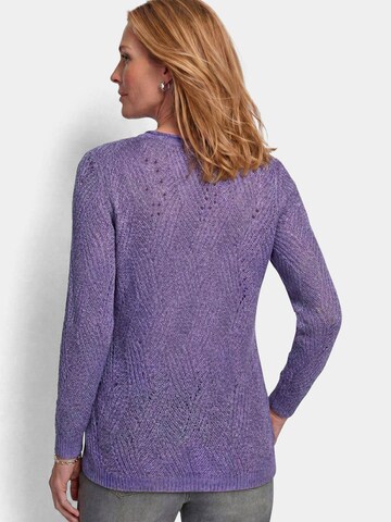 Goldner Sweater in Purple