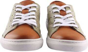 D.MoRo Shoes Sneaker  'Dokstfive' in Braun