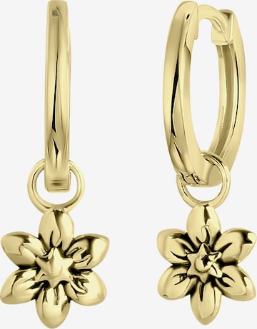 Lucardi Oorbellen in Goud: voorkant