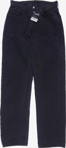 REPLAY Jeans in 30 in Grey: front