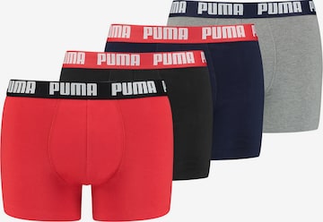 Boxers PUMA en mélange de couleurs : devant