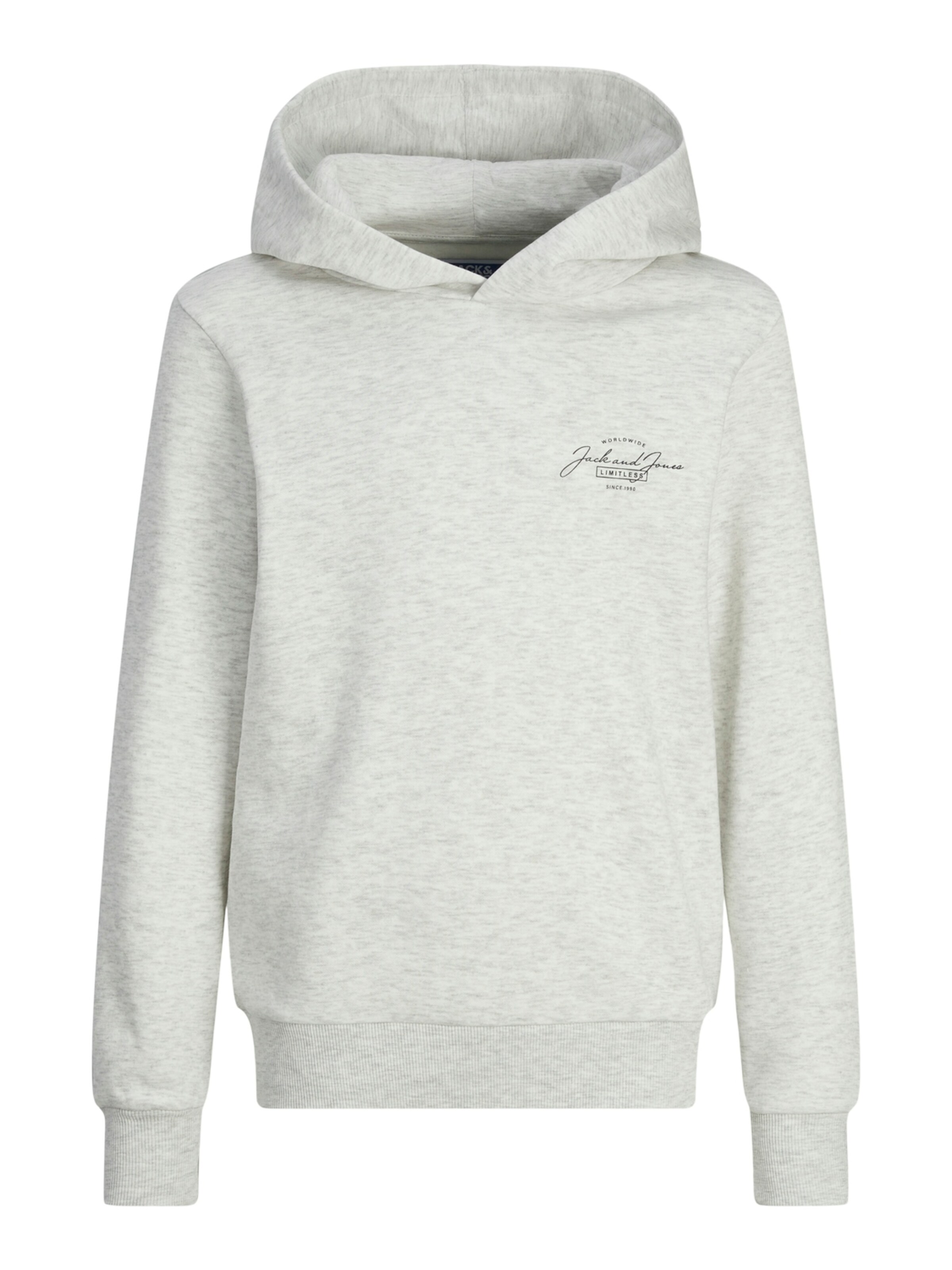 Jack & Jones Junior Sweatshirt 'Ferris' i grå: framsida