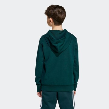 žalia ADIDAS SPORTSWEAR Sportinio tipo megztinis 'Essentials'