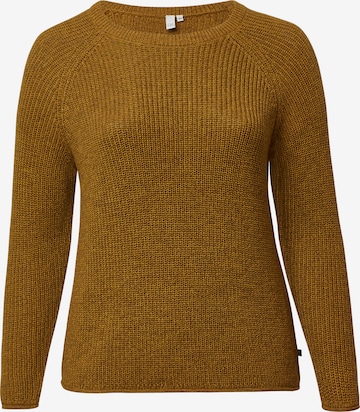 QS Trui in Bruin: voorkant