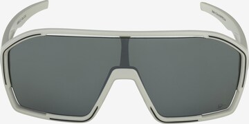 Alpina Sportbrille 'BONFIRE Q-LITE' in Grau: predná strana