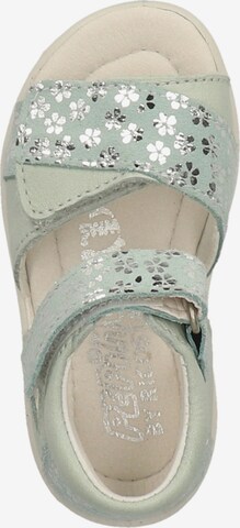 Pepino Sandals in Green