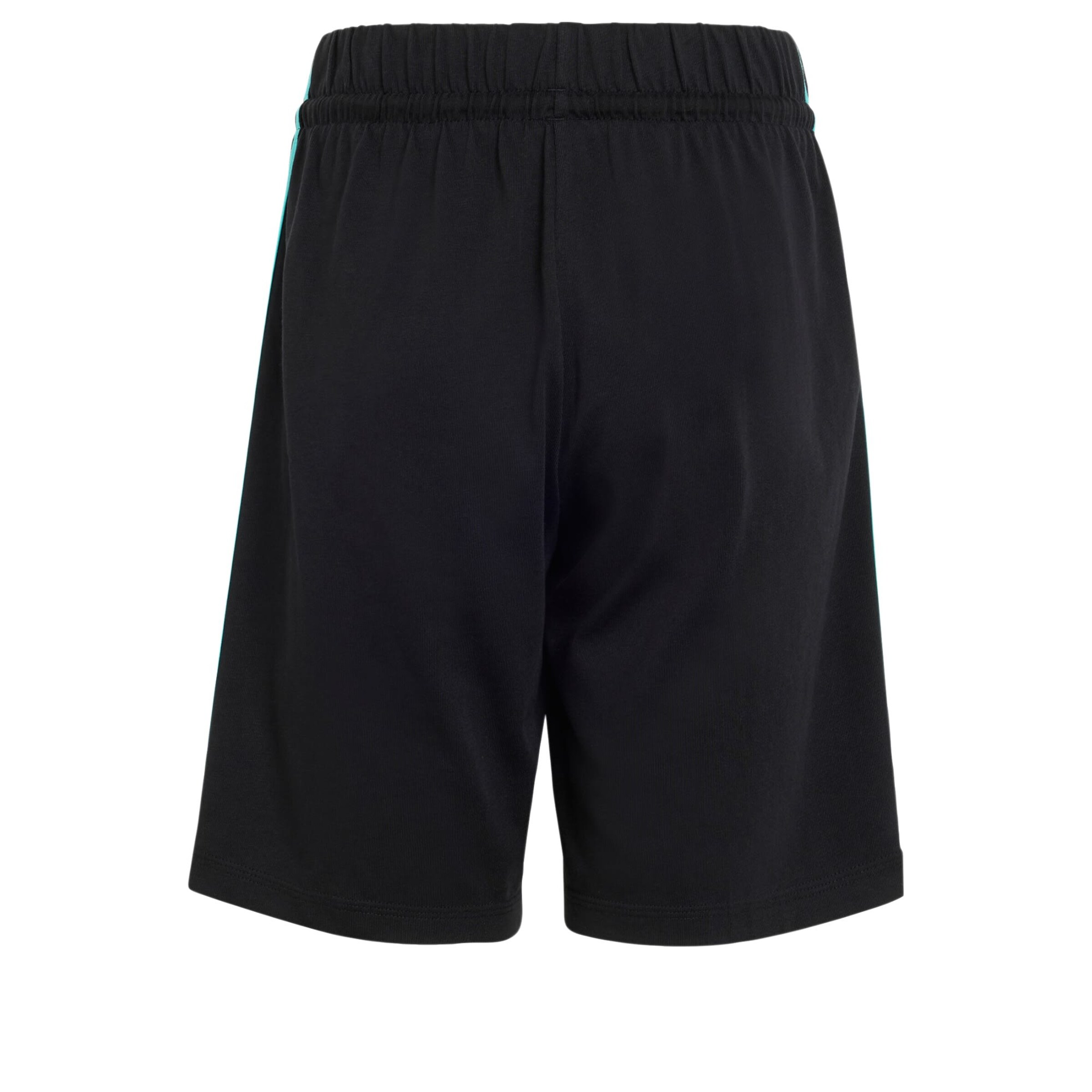 ADIDAS PERFORMANCE - regular Pantalón deportivo 'Mercedes-AMG Petronas Formula 1' en negro