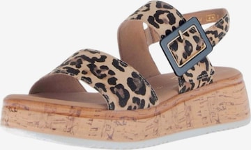 GABOR Sandal in Brown: front