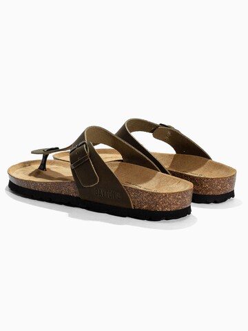 Bayton Žabky 'MERCURE' - Zelená