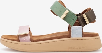 WODEN Sandaal 'Line' in Groen: voorkant