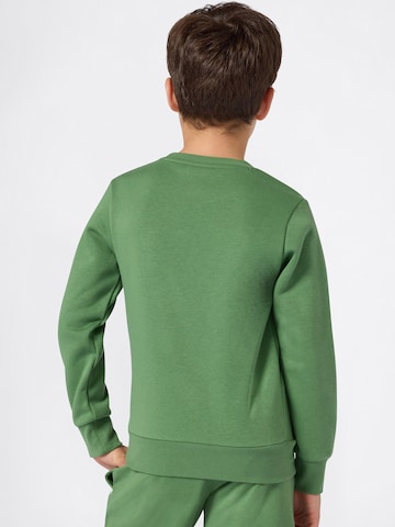 Champion Authentic Athletic Apparel Mikina – zelená