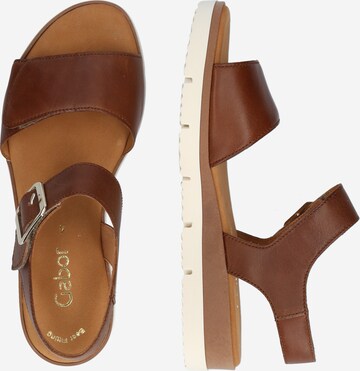 GABOR Strap Sandals in Brown