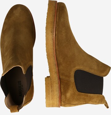 ANGULUS Chelsea Boots in Braun
