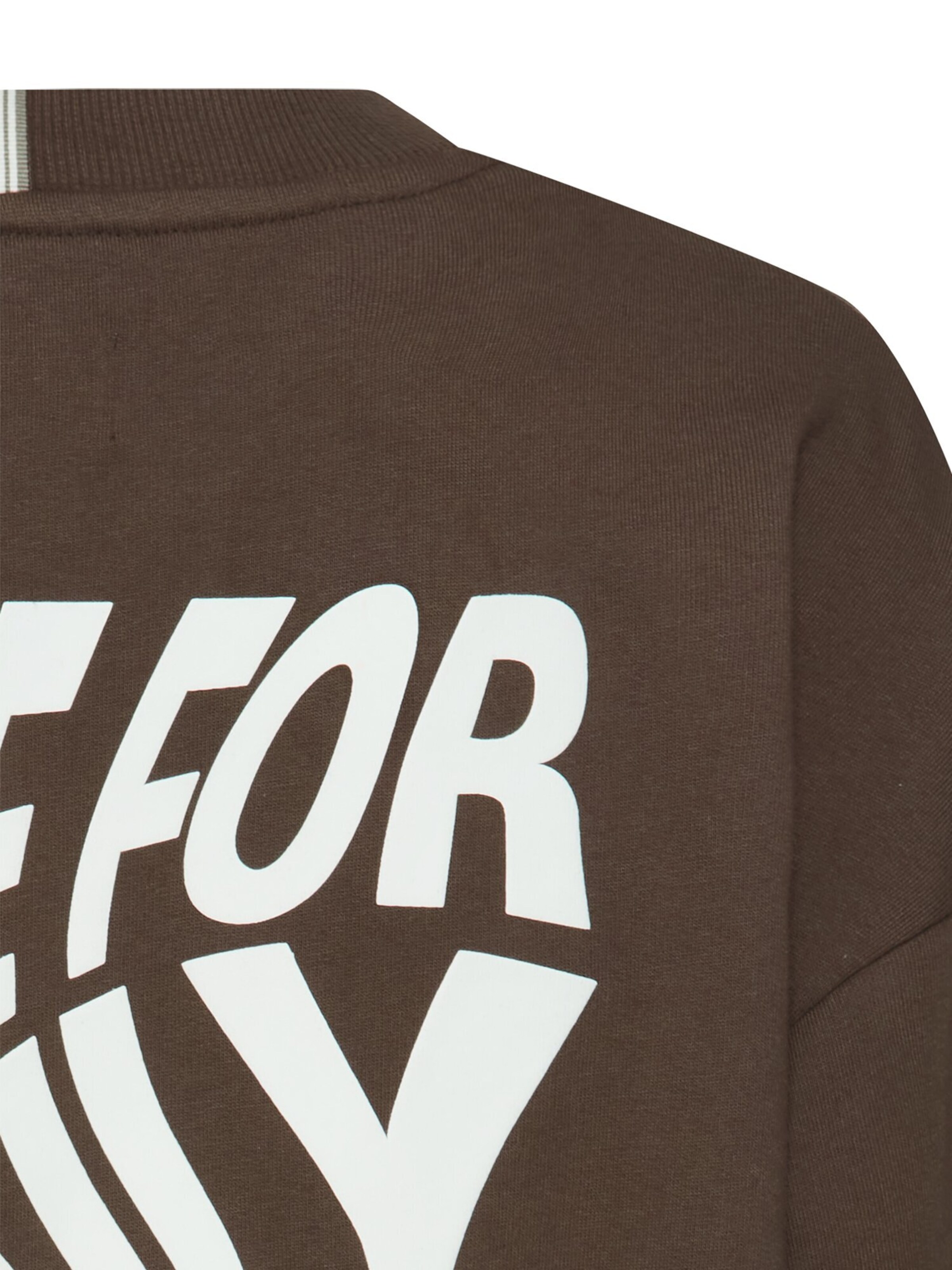 CAMEL ACTIVE Sweatshirt in Brown