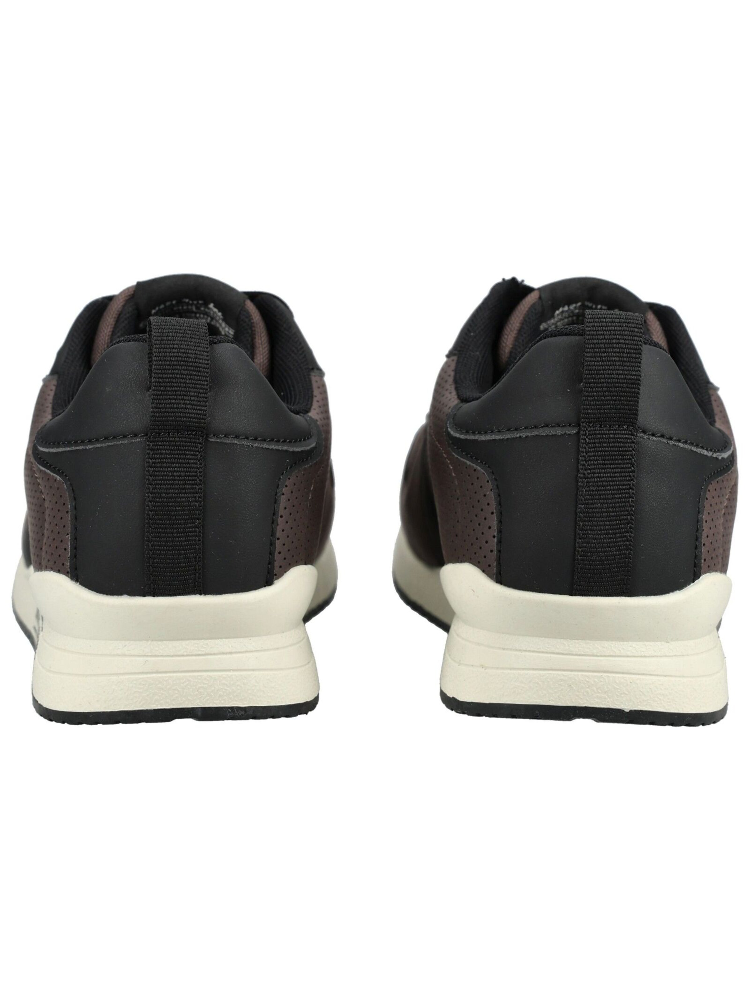 Baskets basses SCOTCH & SODA en marron