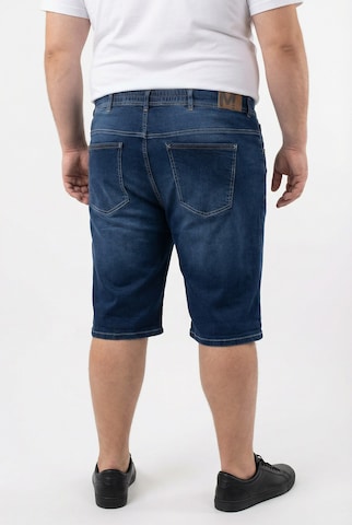 Men Plus Regular Jeans in Blauw