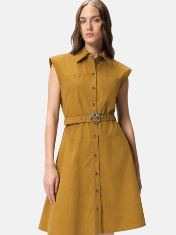 PINKO Kleid 'PINKO ANACETA ABITO POPELINE ABITO'‌‌‌‌ in Braun