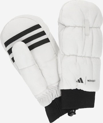 ADIDAS SPORTSWEAR Sporthandschuhe in Weiß: Vorderseite