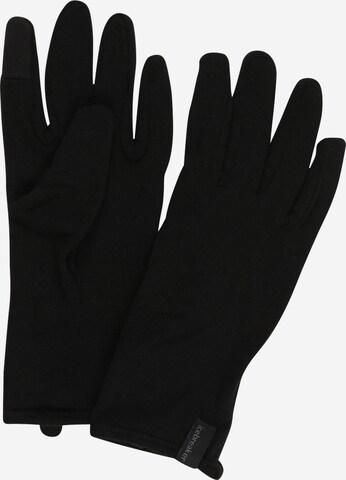 Gants de sport '260 Tech' ICEBREAKER en noir : devant