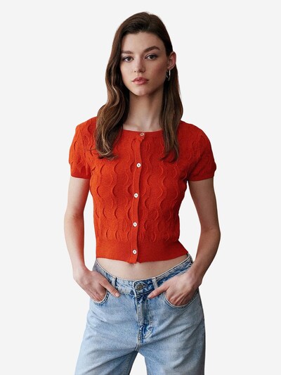 Dilvin Cardigan 'Strickjacken' en S-L en orange, Vue avec produit