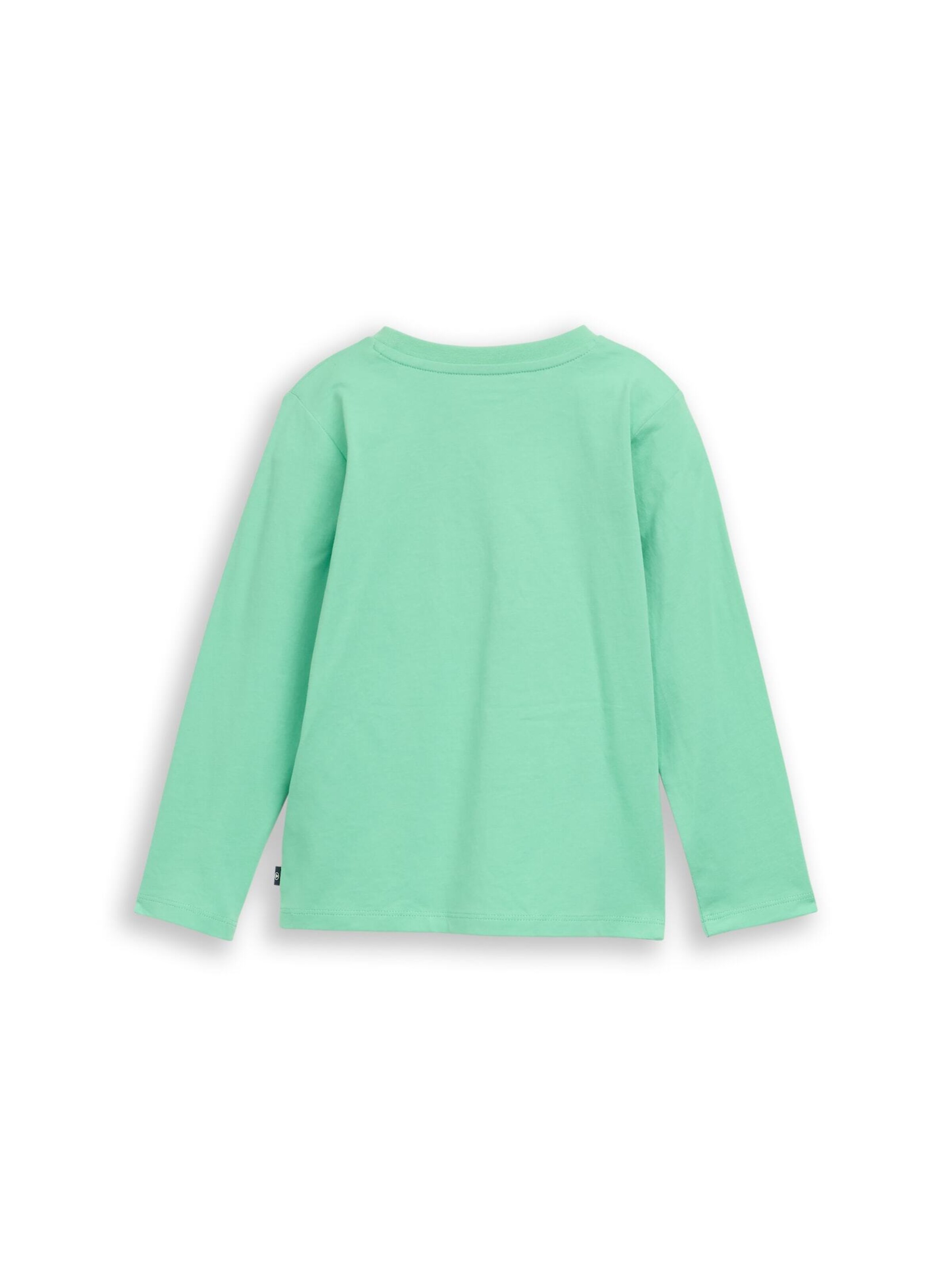 TOM TAILOR Shirt in Groen