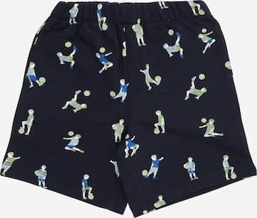 mėlyna s.Oliver Standartinis Kelnės: priekis