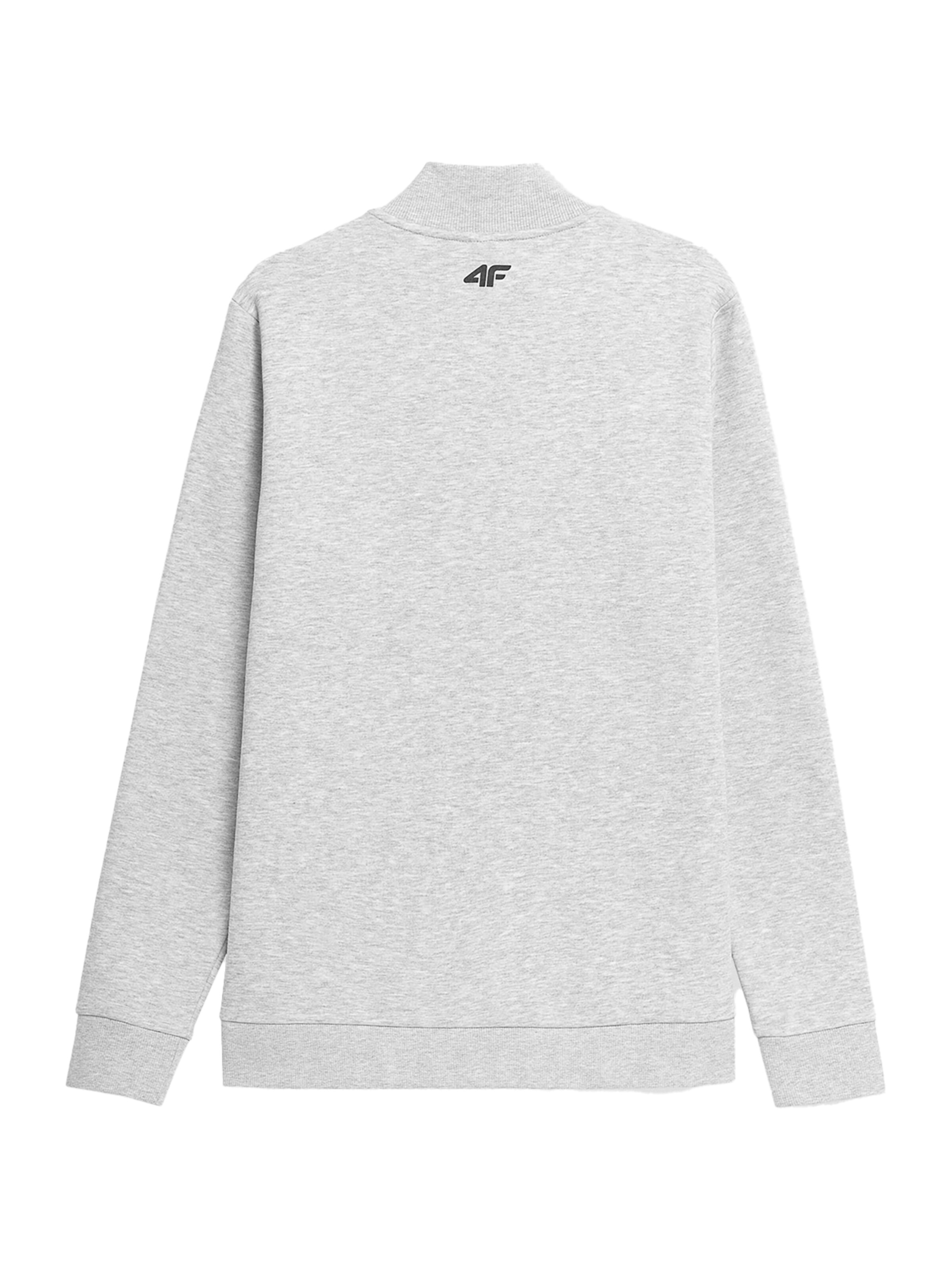 4F Sports sweatshirt in Grey